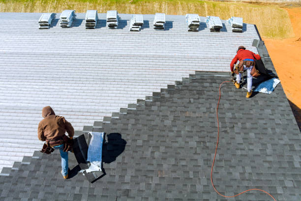 Best Roof Repair Services  in Randolph, WI