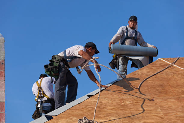Best Metal Roofing Contractor  in Randolph, WI