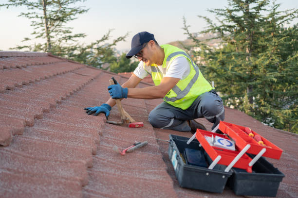Best Roof Maintenance Services  in Randolph, WI