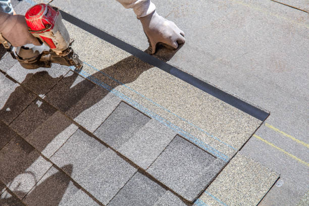 Best Roof Gutter Cleaning  in Randolph, WI